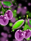 Cherry image [FINLANDFILES.TK]